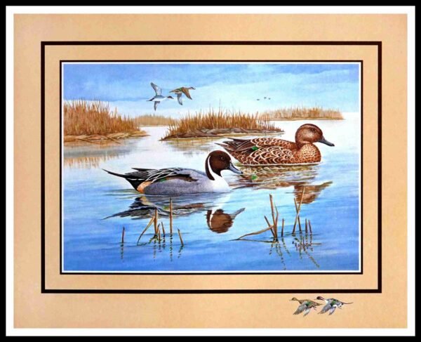 AK VH6227 Mallards