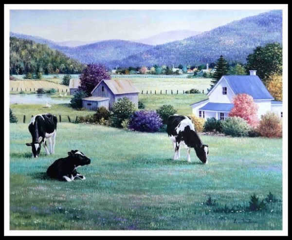 CAP 1335 Sunny Afternoon