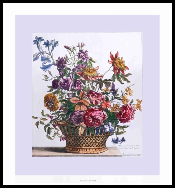 CC 328 Provence Basket II