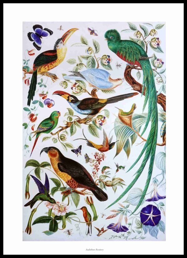 CC 368 Audubon Fantasy