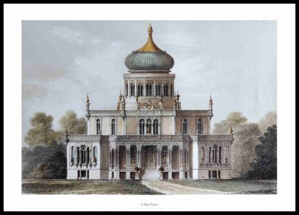 CC 459 A Raj Palace