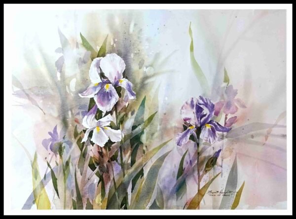 CAP 1121 A Touch of Purple