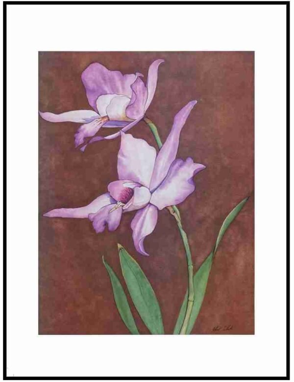 AIM 735 Orchids II (S/N LIMITED EDITION)