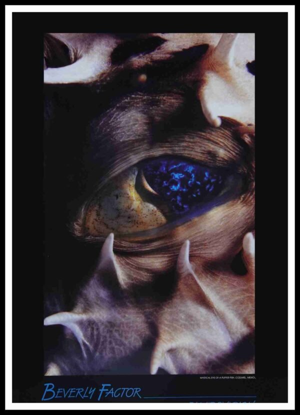 AIM 5103 Puffer Fish Cozumel (S/N LIMITED EDITION)